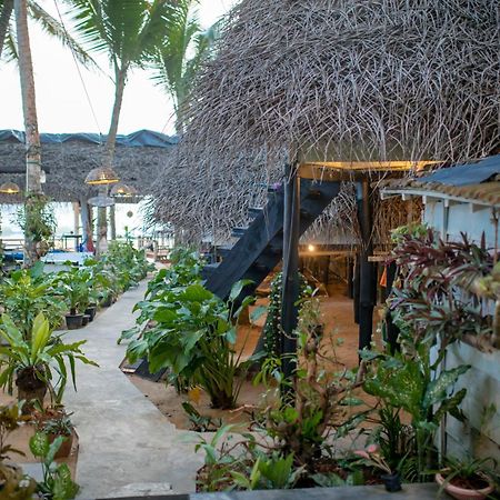 Oynise Beach Cabin ガル エクステリア 写真